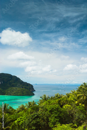 Palm Island Exotic Backdrop © alma_sacra