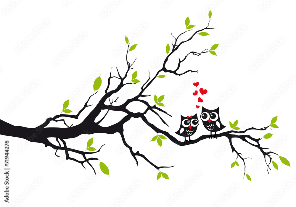 Naklejka Słodkie sowy w miłości na drzewie, wektor