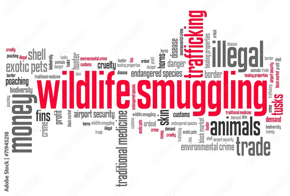 Wildlife trafficking - world cloud concept Wildlife trafficking - world cloud concept