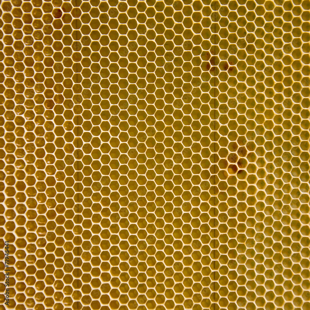 Empty honeycomb wax Empty honeycomb wax