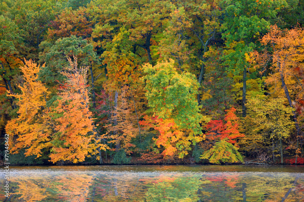 Bright autumn trees and its reflections Bright autumn trees and its reflections