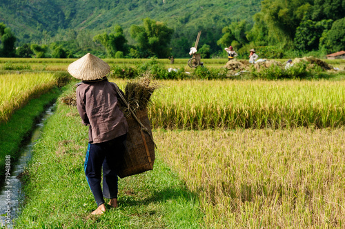 VIetnam - rural scene