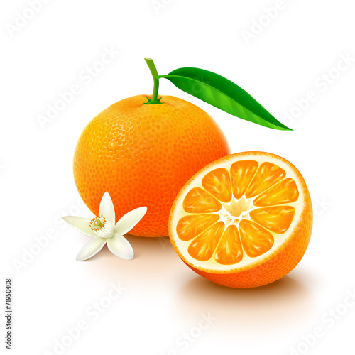 Tangerine fruit with half and flower on white background