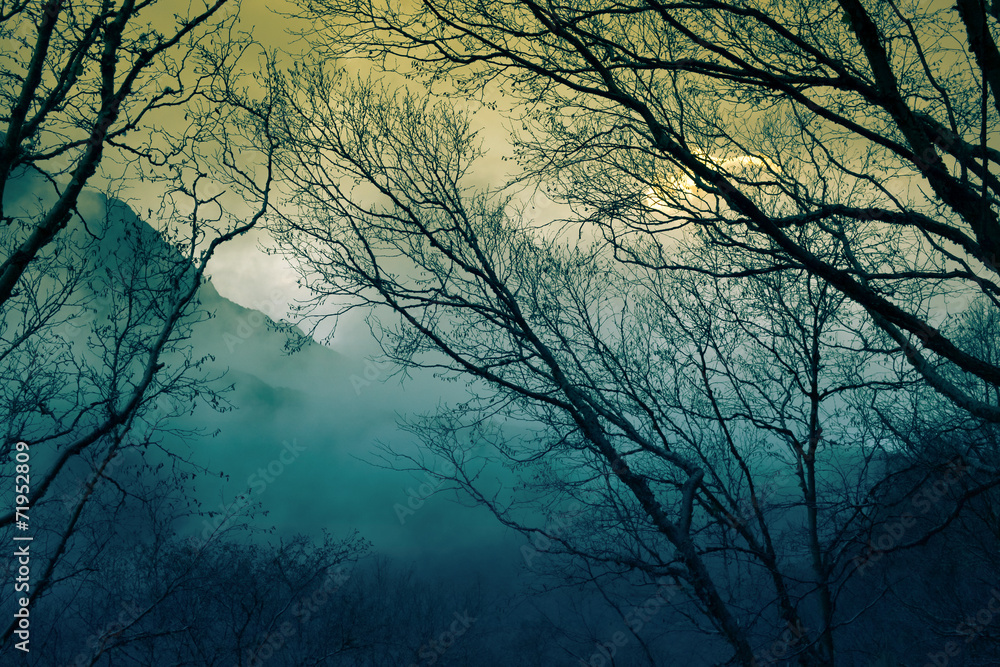 Fototapeta premium Morning fog in a mountain valley