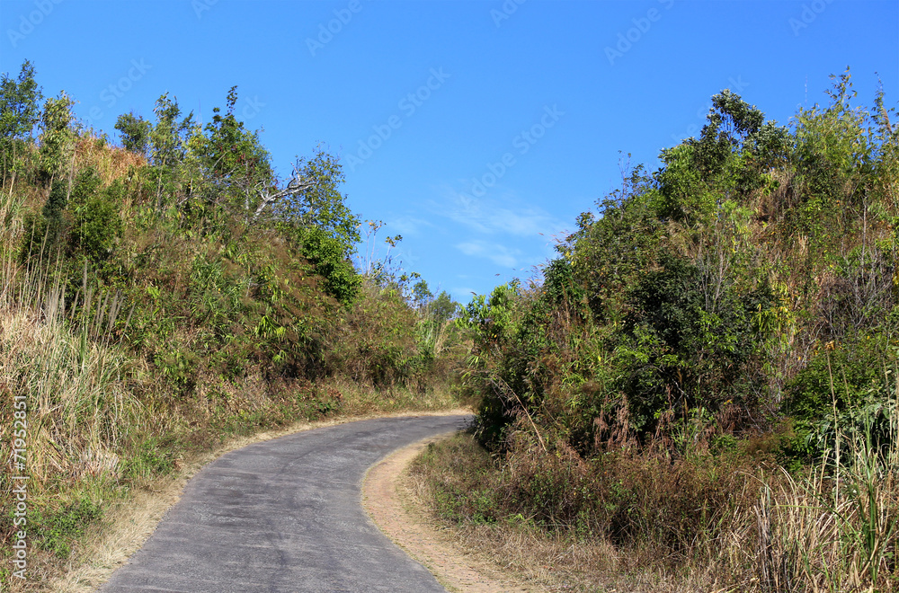 Road over hills in Bangladesh