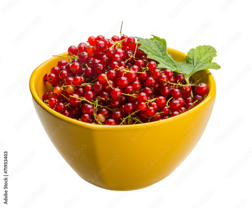 Red currant Red currant