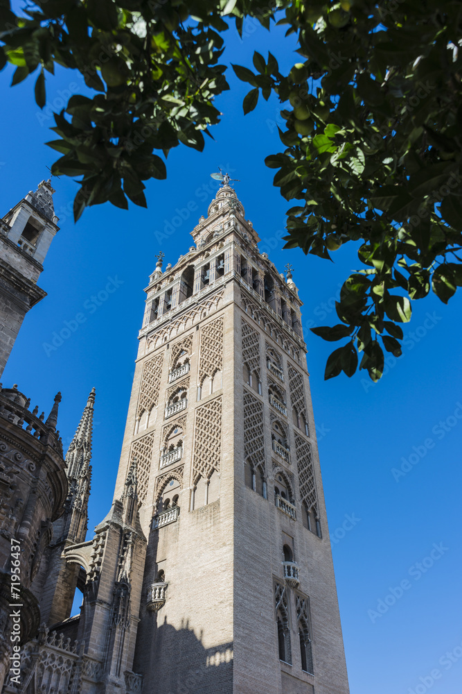 The Giralda in Seville, Andalusia, Spain.