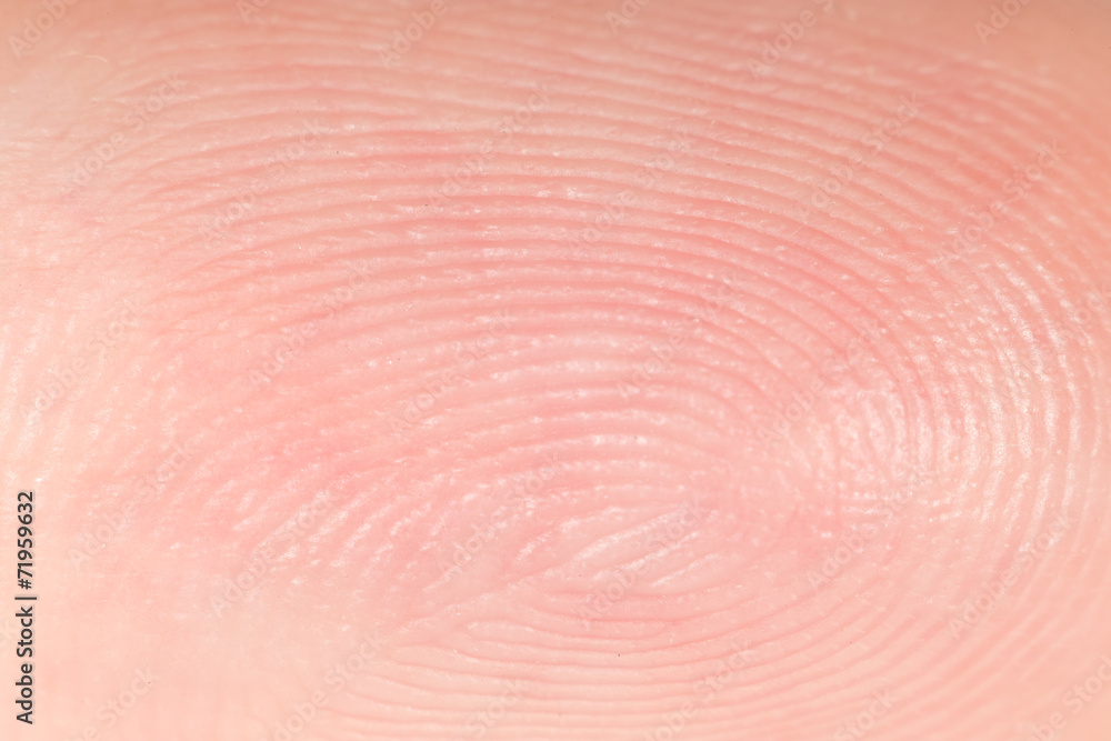 Fototapeta premium finger super macro