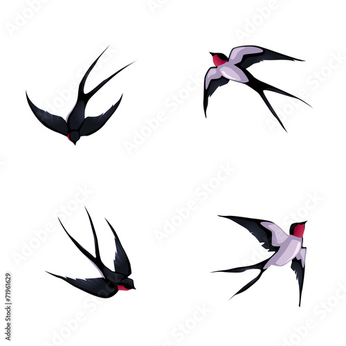 Four swallows.