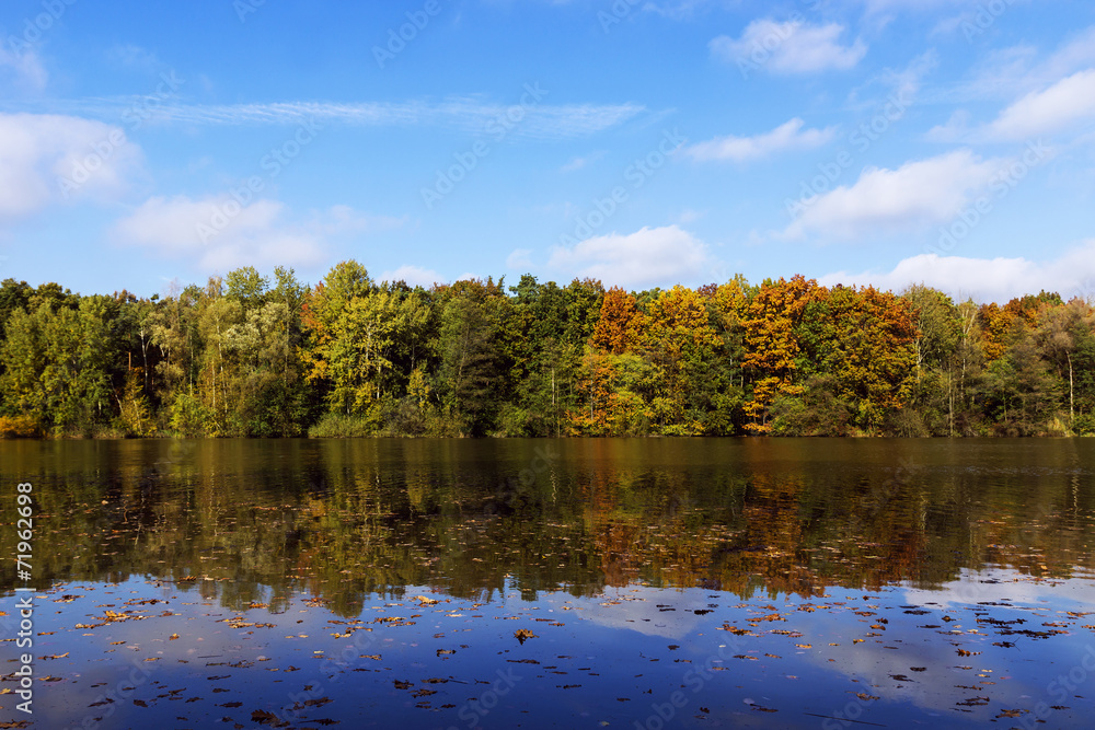 colorful trees by the lake in the fall