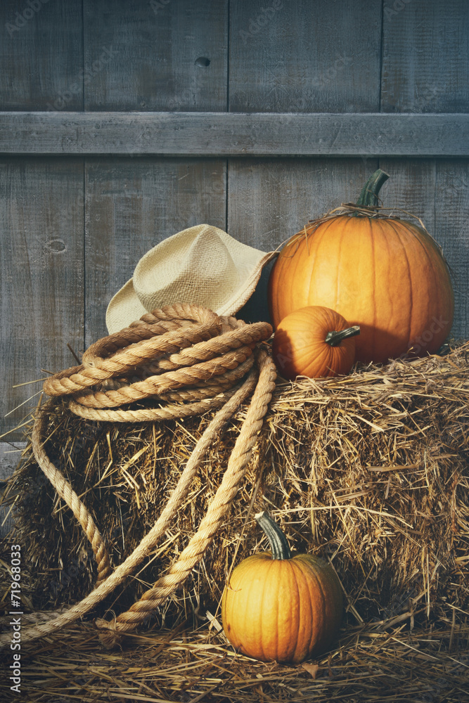 Fototapeta premium Pumpkins with rope and hat on hay
