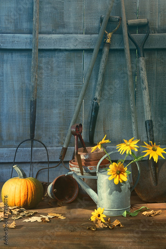 Pumpkin and flowers with tools © Sandra Cunningham