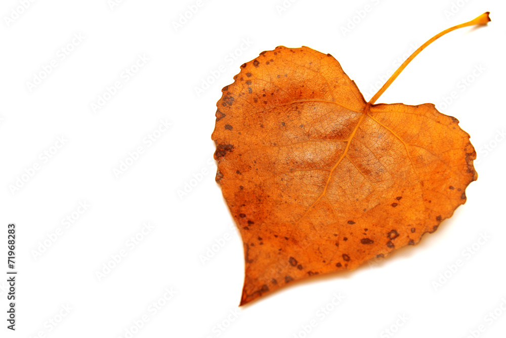Naklejka premium Yellow leaf heart