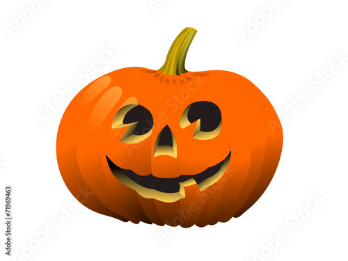 zucca 01