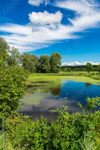 Panorama of summer morning lake