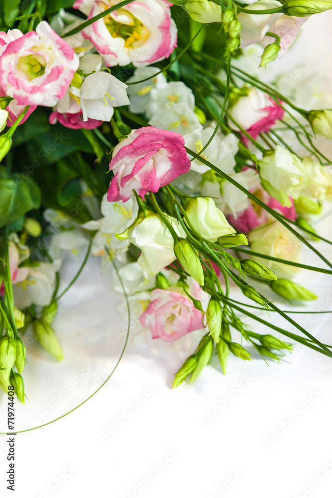 spring flowers background on white background spring flowers background on white background