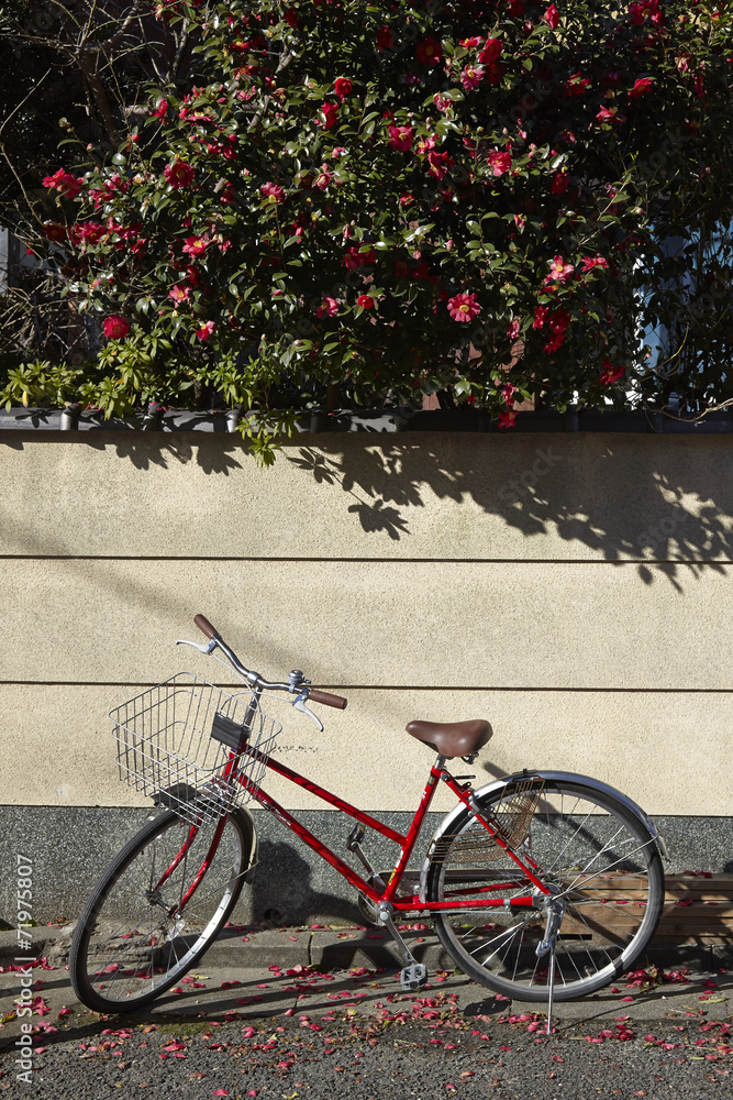 bicycle parking in garden