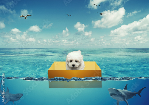 Tableau sur toile Perigo em Alto Mar