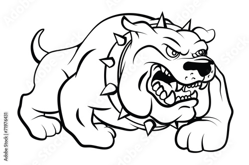 Bull Dog Vector Illustration photo