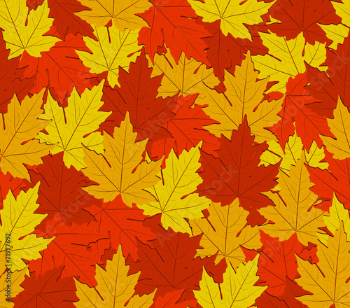 autumn maple leaves seamless pattern © Big Pearl