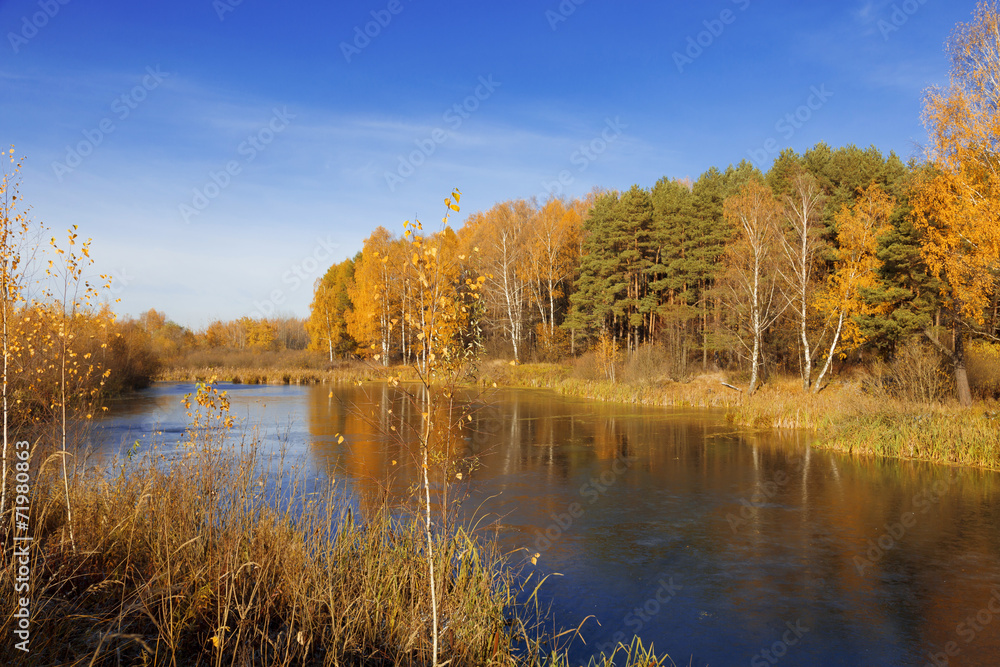 Autumn landscape