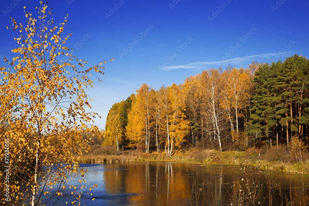 Obraz premium Autumn landscape