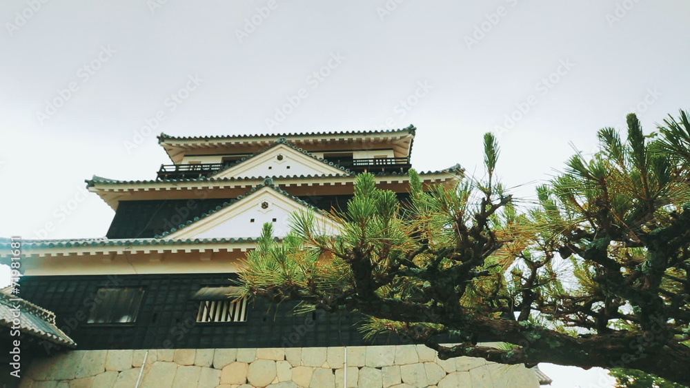 Ancient Japanese castle with pine tree in the foreground Ancient Japanese castle with pine tree in the foreground