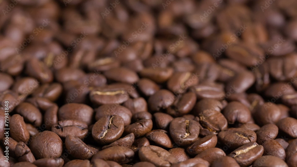 dolly move coffee beans, made from raw dolly move coffee beans, made from raw
