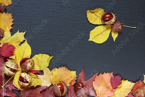 Autumn leaves