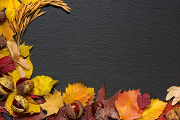 Autumn leaves