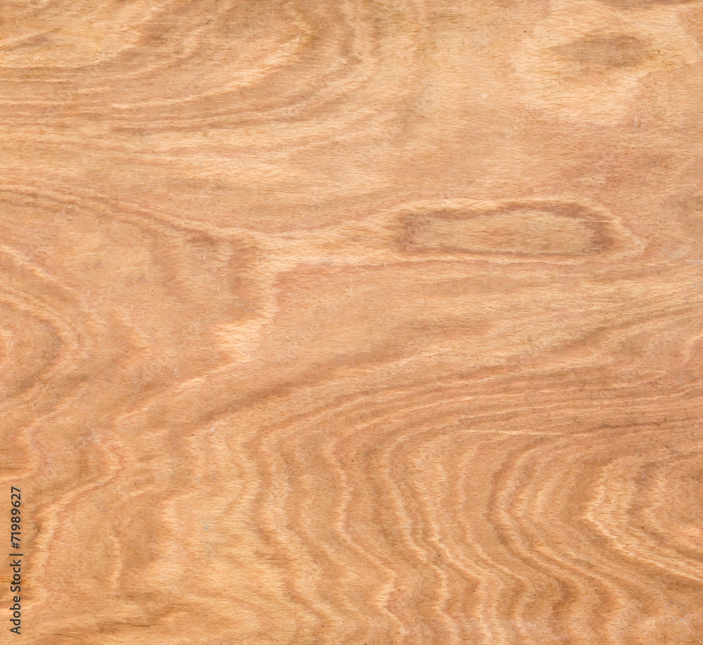 Texture of wood background closeup Texture of wood background closeup