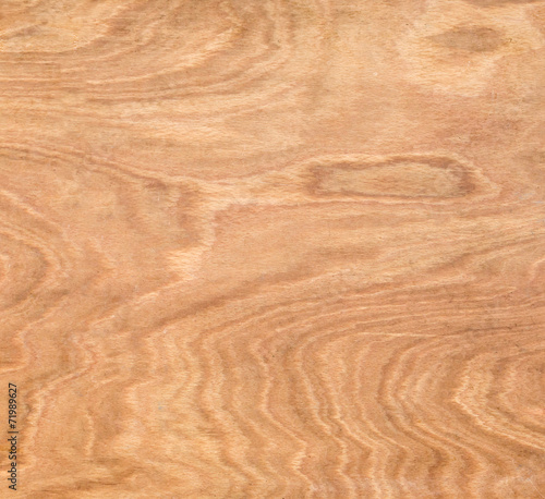 Texture of wood background closeup