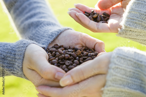 Hand holding a coffee beans