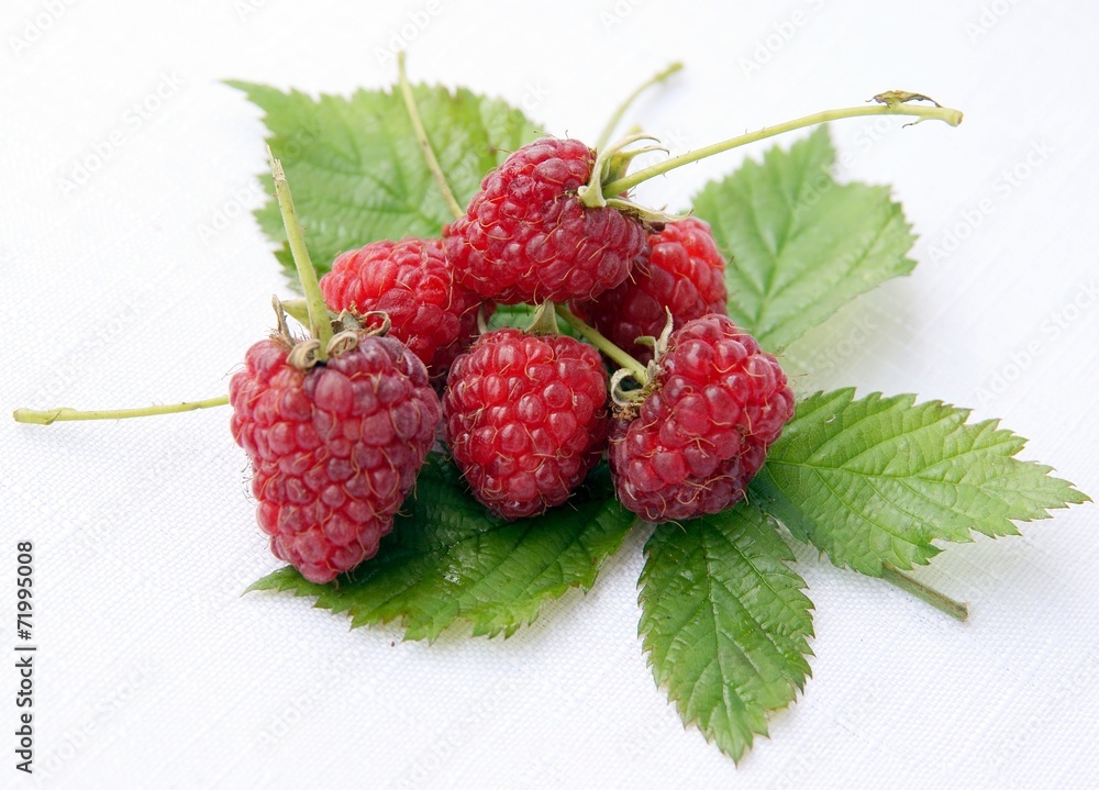 raspberries raspberries