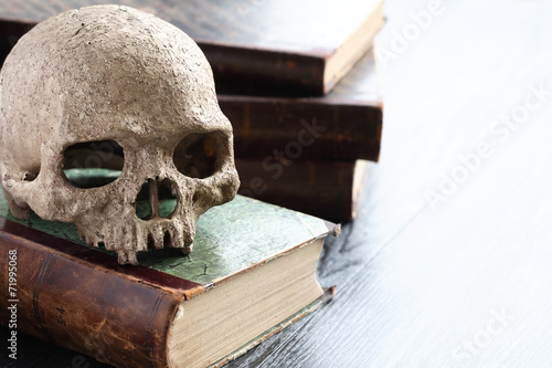 Skull On Books photo