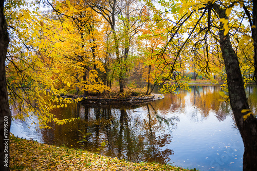 Fototapeta Naklejka Na Ścianę i Meble -  Autumn landscape. Fall scene.