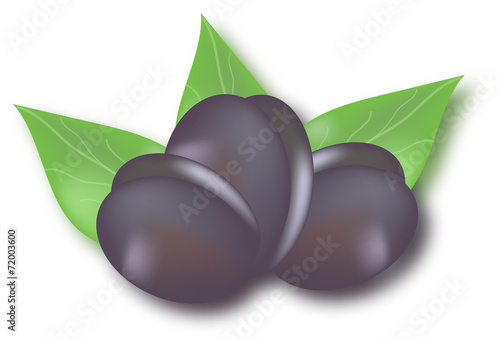 сливы