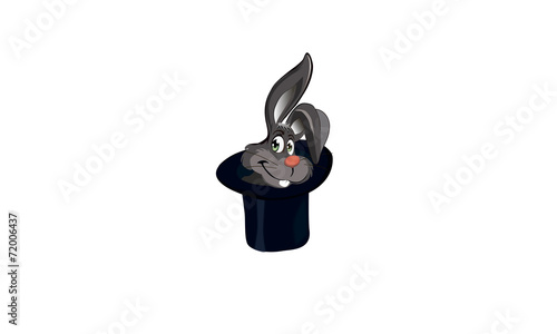 rabbit-cylinder-кролик цилиндр