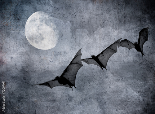 Photo bats in the dark cloudy sky, perfect halloween background