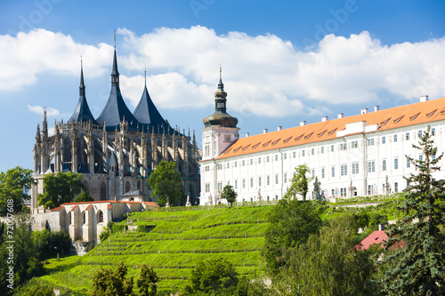 Cathedral of St. Barbara and Jesuit College, Kutna Hora, Czech R