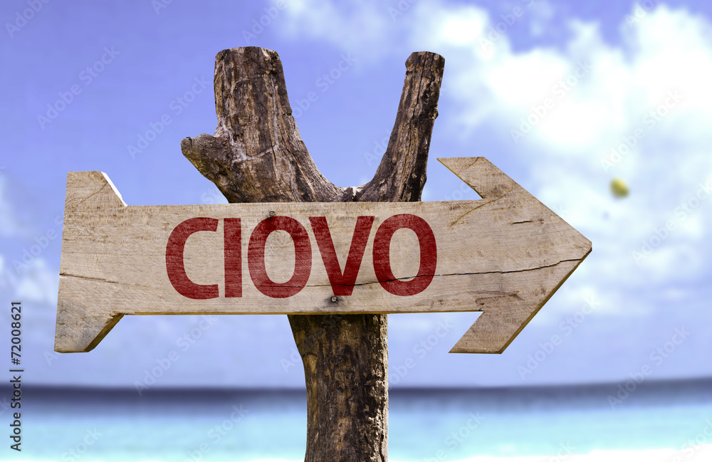 Ciovo wooden sign with a beach on background