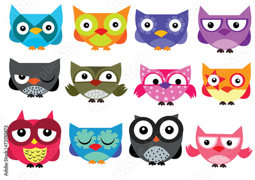 Wallpaper Mural zestaw kolorowych sów Torontodigital.ca