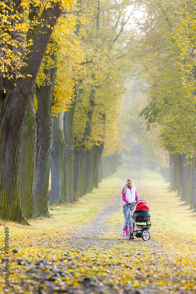 woman with a pram on walk in autumnal alley woman with a pram on walk in autumnal alley