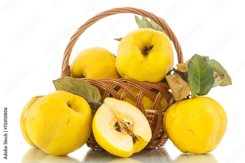 quince quince