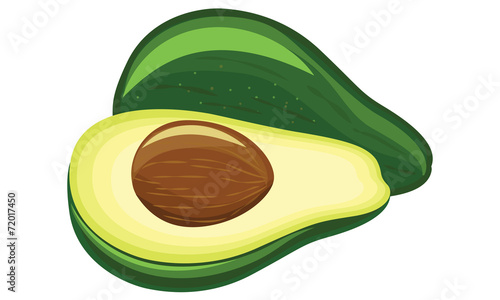 avocado fruit, vector illustration