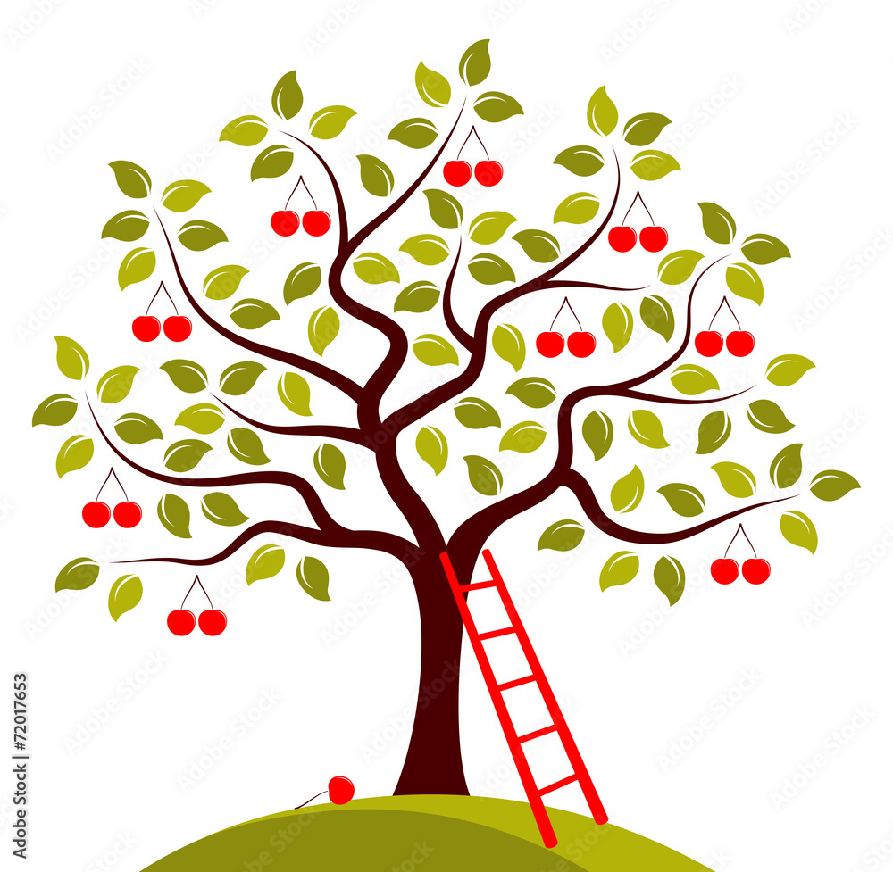 Naklejka premium cherry tree