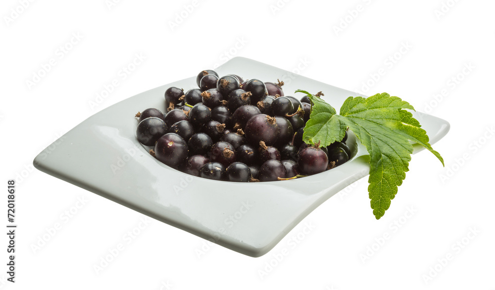 Black currant Black currant