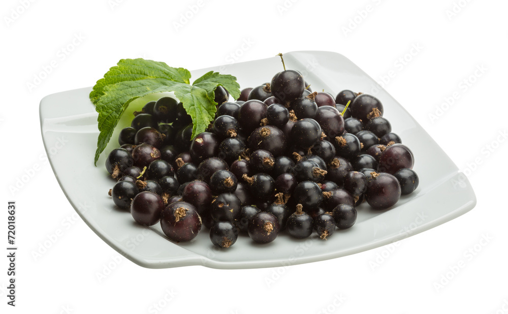 Black currant Black currant