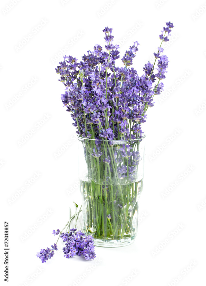Naklejka premium lavender in a glass isolated on white