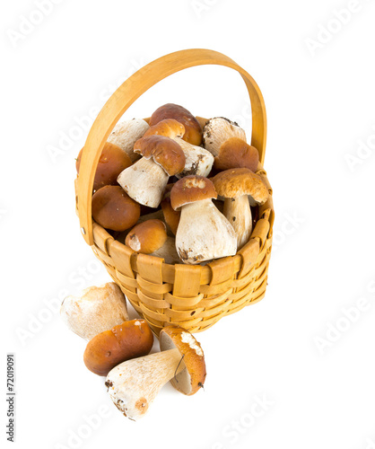 boletus mushrooms in a basket over white